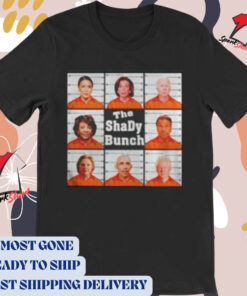 Official Funny Political Humor Democratic Party The Shady Bunch 2024 t-shirt