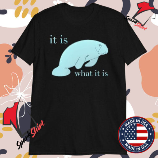 Manatee It Is What It Is T-shirts