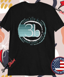 Third Eye Blind Venice Circle Summer Gods Tour 2024 T-shirts